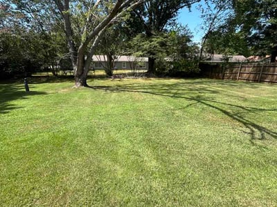 Lawn Care service in Hazel Green, 35750
