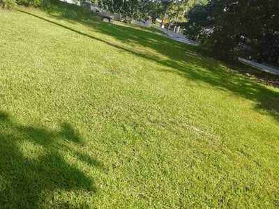 Lawn Care service in Dunwoody, 30338