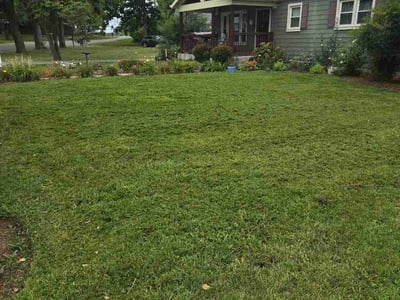 Lawn Care service in White Bluff, 37187