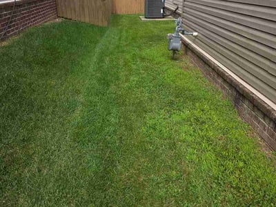 Lawn Care service in White Bluff, 37187