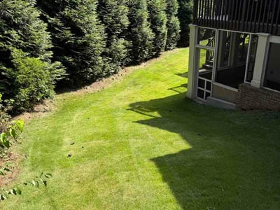 Lawn Care service in Dunwoody, 30338