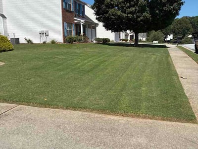 Lawn Care service in Suwanee, 30024