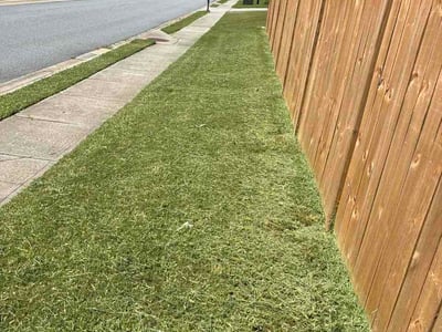 Lawn Care service in Suwanee, 30024