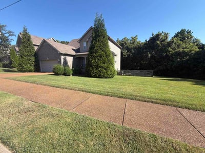 Lawn Care service in Mount Juliet, 37122