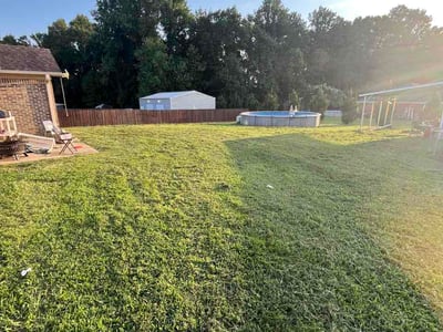Lawn Care service in Toney, 35773