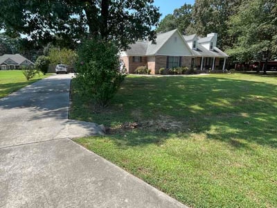 Lawn Care service in Toney, 35773