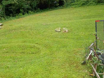 Lawn Care service in Lilburn, 30047
