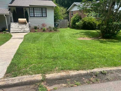 Lawn Care service in Clay, 35126