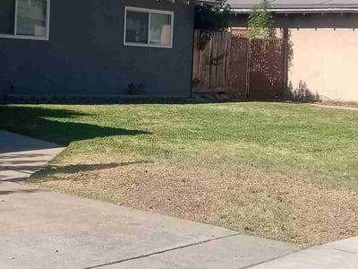 Lawn Care service in Fresno, 93721