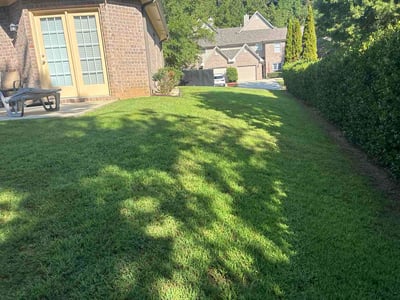 Lawn Care service in Fairfield, 35064