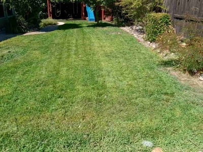 Lawn Care service in Fresno, 93721