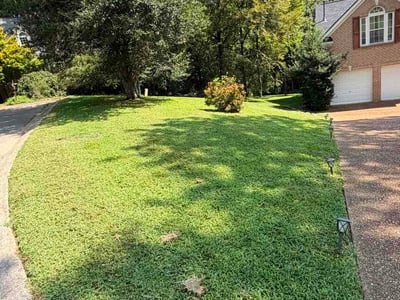 Lawn Care service in Nolensville, 37135