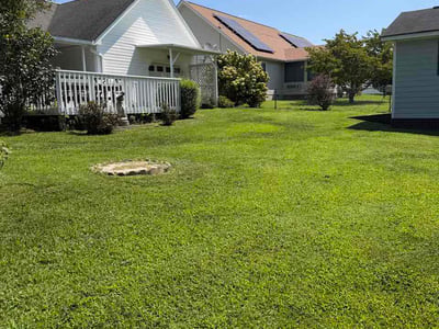 Lawn Care service in Ooltewah, 37363