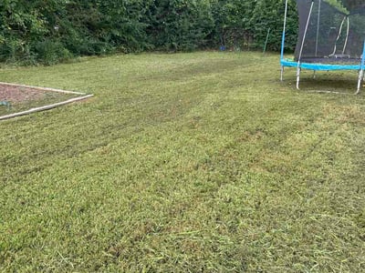 Lawn Care service in Chattanooga, 37402