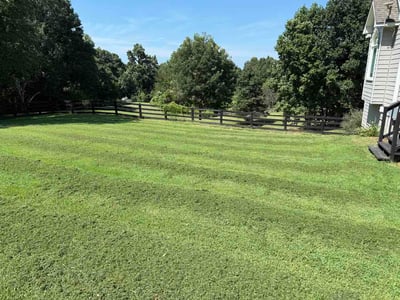 Lawn Care service in Canton, 30114