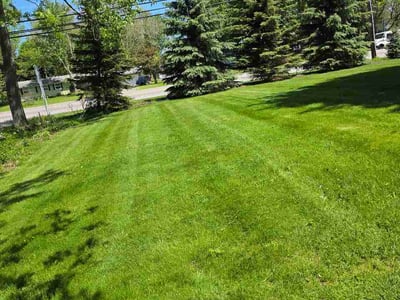 Lawn Care service in North Tonawanda, 14120