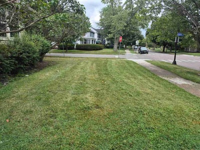Lawn Care service in North Tonawanda, 14120