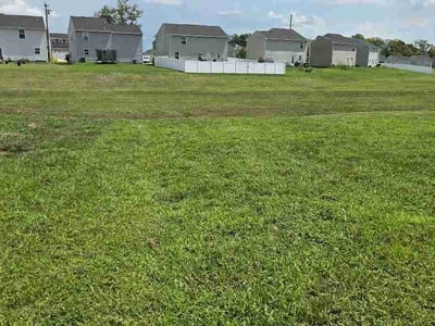 Lawn Care service in Brentwood, 37027