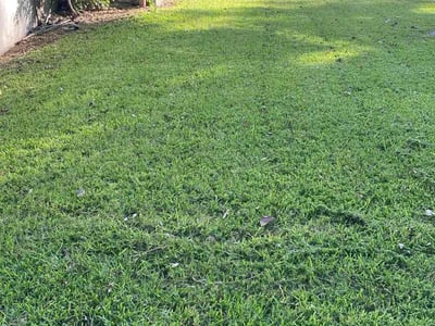 Lawn Care service in Granger, 76530