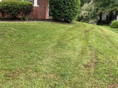 Lawn Care service in Ballantyne, 28277