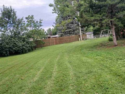 Lawn Care service in Overland, 63114