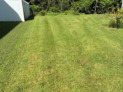 Lawn Care service in Jamestown, 27282