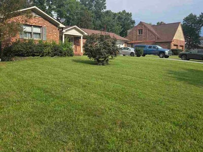 Lawn Care service in Jamestown, 27282
