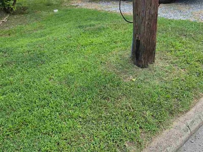 Lawn Care service in Randleman, 27317