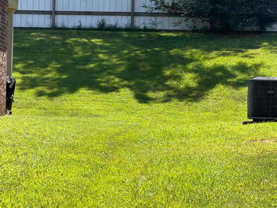 Lawn Care service in Harvest, 35749