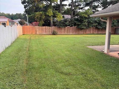 Lawn Care service in Harvest, 35749