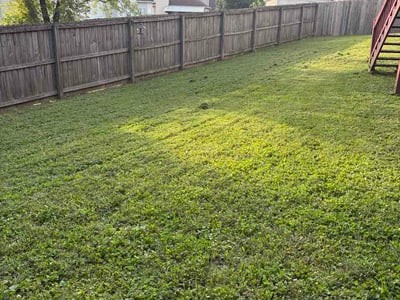 Lawn Care service in Dickson, 37055