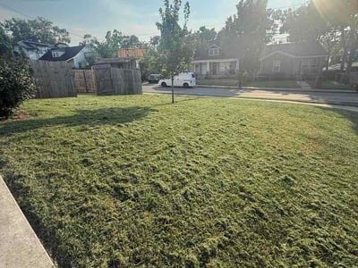 Lawn Care service in Dickson, 37055