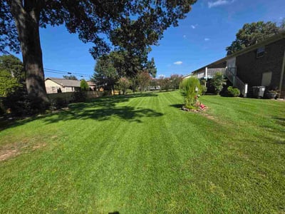 Lawn Care service in Gardendale, 35071