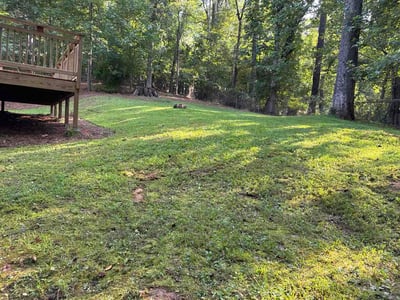 Lawn Care service in Powder Springs, 30127