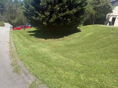 Lawn Care service in Weaverville, 28787