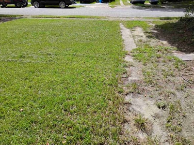 Lawn Care service in Mobile, 36602