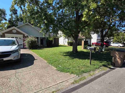 Lawn Care service in Pleasant View, 37146