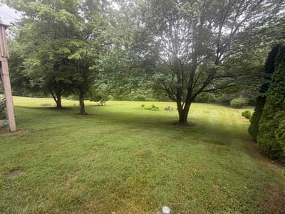 Lawn Care service in Weaverville, 28787