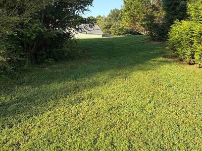 Lawn Care service in Cumming, 30040
