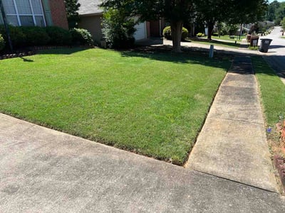 Lawn Care service in Leeds, 35094