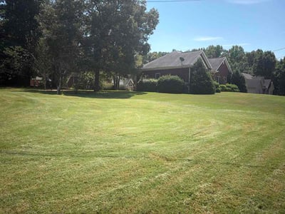 Lawn Care service in Leeds, 35094