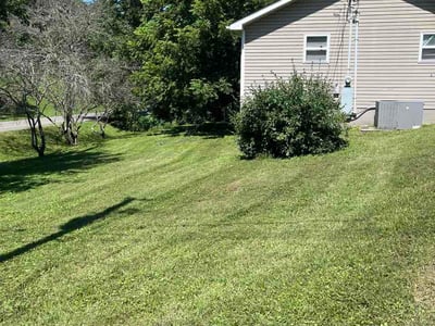 Lawn Care service in Lenoir City, 37771