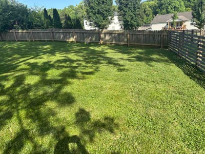 Lawn Care service in Lenoir City, 37771