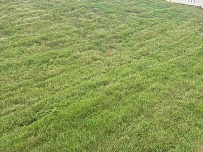 Lawn Care service in Rock Hill, 29730