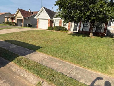 Lawn Care service in Tempe, 85281