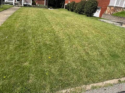 Lawn Care service in Monongahela, 15063