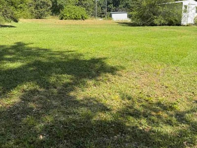Lawn Care service in Carrollton, 30117