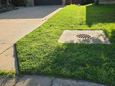 Lawn Care service in Waterloo, 64097