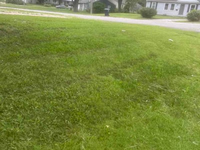 Lawn Care service in Waterloo, 64097
