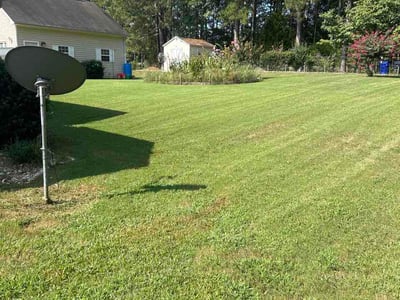 Lawn Care service in Hampton, 30228